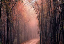 乐鱼vip注册-淬火之战：钢铁军团如何用汗水浇灌冠军基因