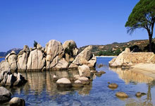 leyu乐鱼体育中国-加勒比风暴！凯尔特人爆冷晋级引爆全民竞猜热潮，美洲杯格局一夜颠覆